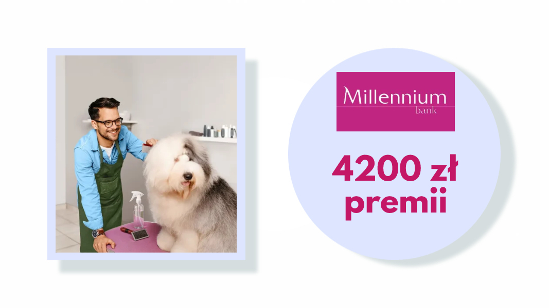 Zyskaj premię z Kontem Mój Biznes - promocja Banku Millennium